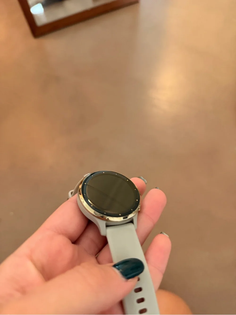 garmin Venu 3 Smartwatch — grey/Gold